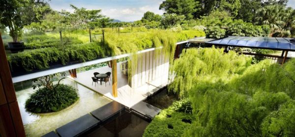 La Casa Willow, una mezcla entre la arquitectura y la naturaleza 4
