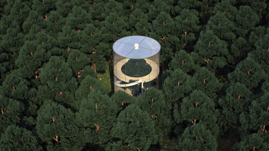 diseño casa circular en un bosque 7