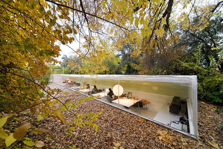 Una oficina en Madrid que hace sentir a sus empleados como si trabajasen en el bosque