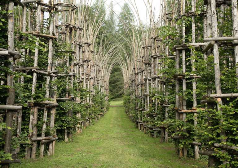 La Cattedrale Vegetale, una catedral hecha con ramas y vegetación