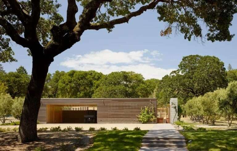 Elementos naturales para mejorar la eficiencia energética de la residencia Sonoma
