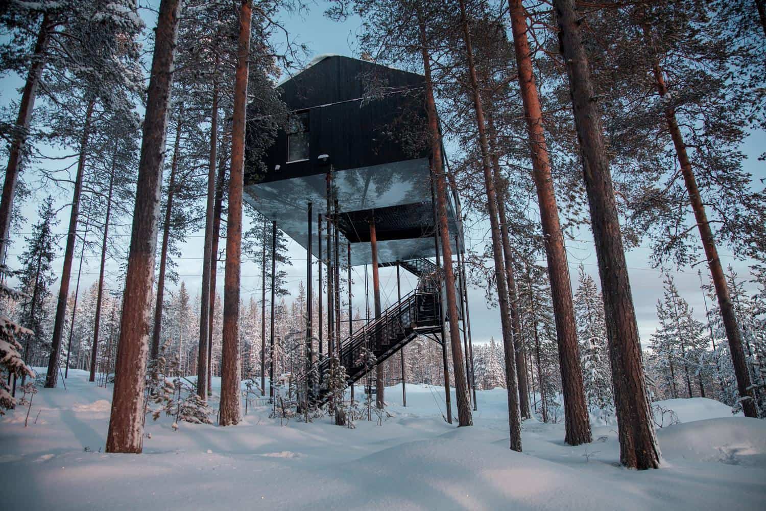 Séptima habitación treehotel en Suecia 1