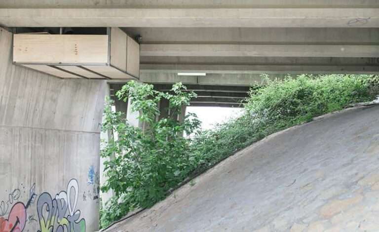 Diseñador español construye un estudio secreto bajo un puente en Valencia