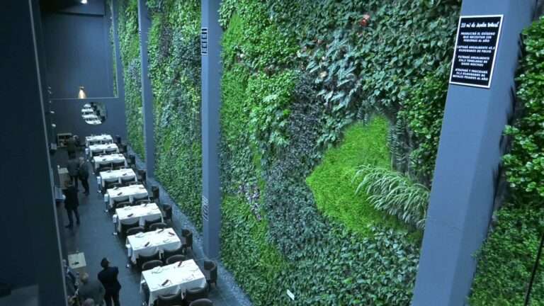 Alcorcón (Madrid) cuenta con el jardín vertical interior más grande Europa