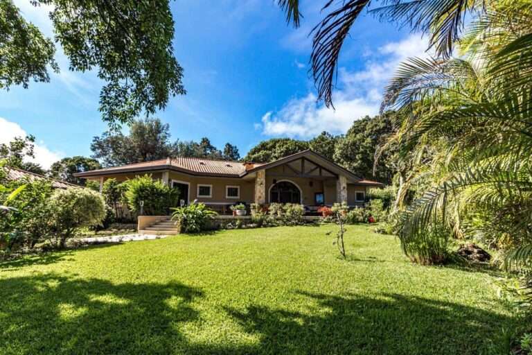 Las mejores ideas para decorar el jardín