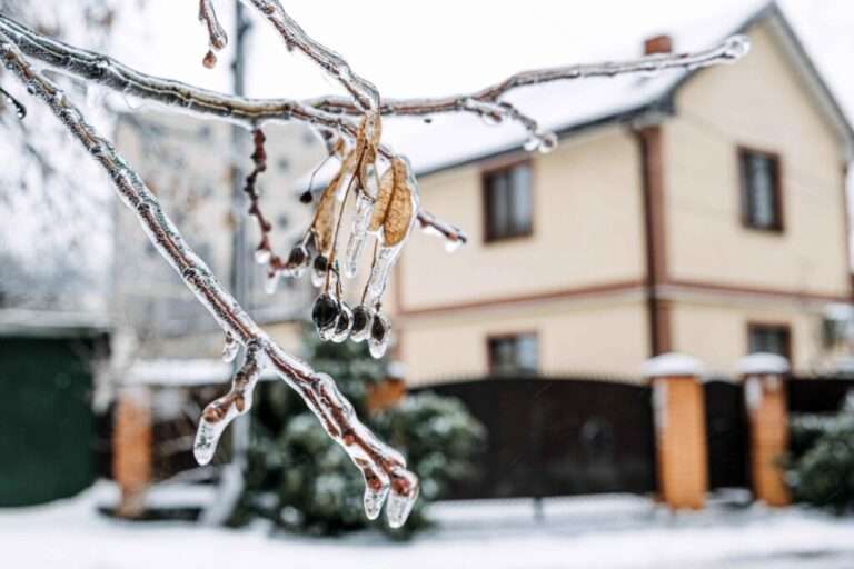 Consejos Prácticos para Proteger tu Vivienda del Frío y las Tormentas según Allianz Partners