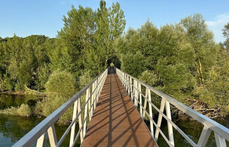 Gabarró colabora con tarima de bambú de Dasso en la construcción de la nueva pasarela peatonal del embalse Ullibarri-Gamboa