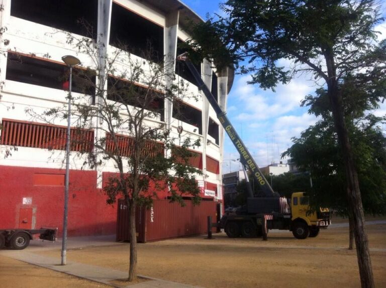 Grúas Torre del Oro: Innovación en Soluciones de Elevación para Montajes Mayores